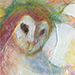 Owls/Athena #2